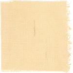 Dye mushroom: Gymnopilus ventricosus (Western Jumbo Gym), Fiber: linen, Mordent: aluminum acetate