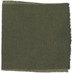 Dye mushroom: Omphalotus olivascens (Western Jack  O'Lantern), Fiber: wool, Mordent: iron