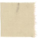 Dye mushroom: Tapinella atrotomentosa (Velvet pax foot), Fiber: linen, Mordent: titanium oxalate