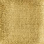 Dye mushroom: Hydnellum squamosus (Scaly Tooth), Pigment: citric acid