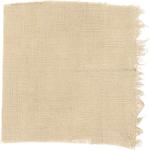 Dye mushroom: Neoboletus praestigator (Scarletina Bolete), Fiber: linen, Mordent: aluminum acetate