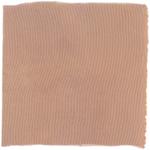 Dye mushroom: Cortinarius semisanguineus (Surprise Web Cap), Fiber: silk, Mordent: iron