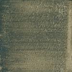 Dye mushroom: Polyozellus atroazulinus (Blue Chanterelle), Pigment: soda ash