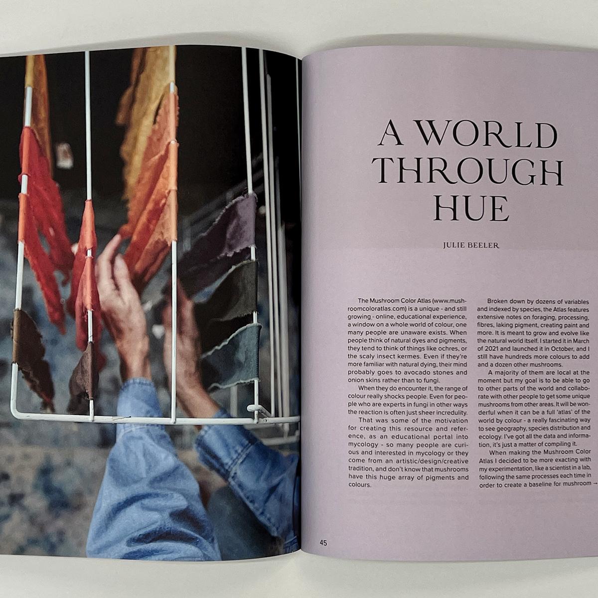 Article spread from ‘A World Through Hue’ featured in THE MUSHROOM.