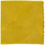 Dye mushroom: Aureoboletus mirabilis (Admirable Bolete), Fiber: wool, Mordent: iron