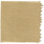 Dye mushroom: Boletus rex veris (Spring King Bolete), Fiber: linen, Mordent: iron