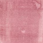 Dye mushroom: Cortinarius uliginosus (Marsh Web Cap), Pigment: alum