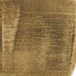 Dye mushroom: Boletopsis grisea (null), Pigment: soda ash