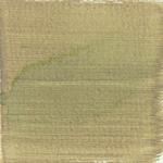 Dye mushroom: Boletus rex veris (Spring King Bolete), Pigment: copper acetate