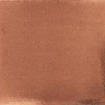 Dye mushroom: Pisolithus tinctorius (Dyer's Puffball), Pigment: alum