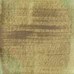 Dye mushroom: Tapinella atrotomentosa (Velvet pax foot), Pigment: copper acetate