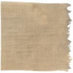 Dye mushroom: Aureoboletus mirabilis (Admirable Bolete), Fiber: linen, Mordent: iron