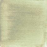 Dye mushroom: Boletus rex veris (Spring King Bolete), Pigment: copper acetate