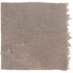 Dye mushroom: Ramaria (Coral), Fiber: linen, Mordent: iron