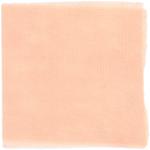 Dye mushroom: Cortinarius smithii (Western Red Dye), Fiber: wool, Mordent: tin