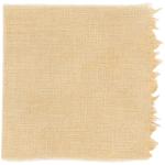 Dye mushroom: Boletus rex veris (Spring King Bolete), Fiber: linen, Mordent: aluminum acetate