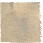 Dye mushroom: Xerocomellus zelleri (Zeller's bolete), Fiber: linen, Mordent: iron