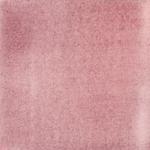 Dye mushroom: Cortinarius uliginosus (Marsh Web Cap), Pigment: citric acid