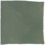 Dye mushroom: Hydnellum suaveolens (Sweetgrass Hydnellum), Fiber: silk, Mordent: iron