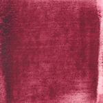 Dye mushroom: Cortinarius sanguineus (Blood Red Webcap), Pigment: soda ash