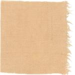 Dye mushroom: Neoboletus praestigator (Scarletina Bolete), Fiber: linen, Mordent: titanium oxalate