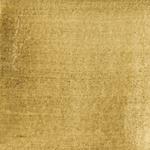 Dye mushroom: Hydnellum squamosus (Scaly Tooth), Pigment: alum