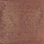 Dye mushroom: Echinodontium tinctorium (Indian Paint Fungus), Pigment: copper acetate