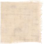 Dye mushroom: Omphalotus olivascens (Western Jack  O'Lantern), Fiber: linen, Mordent: aluminum acetate