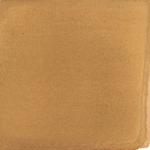 Dye mushroom: Pisolithus tinctorius (Dyer's Puffball), Pigment: iron