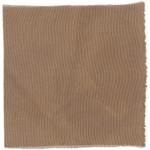 Dye mushroom: Cortinarius neosanguines (Western Blood Red Cort), Fiber: silk, Mordent: iron