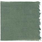 Dye mushroom: Polyozellus atroazulinus (Blue Chanterelle), Fiber: linen, Mordent: iron