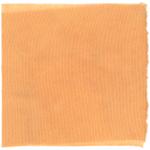 Dye mushroom: Echinodontium tinctorium (Indian Paint Fungus), Fiber: wool, Mordent: tin