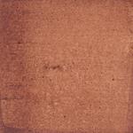 Dye mushroom: Echinodontium tinctorium (Indian Paint Fungus), Pigment: citric acid