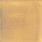 Dye mushroom: Boletus rex veris (Spring King Bolete), Pigment: iron