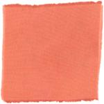 Dye mushroom: Echinodontium tinctorium (Indian Paint Fungus), Fiber: wool, Mordent: tin