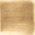 Dye mushroom: Tapinella atrotomentosa (Velvet pax foot), Pigment: base