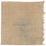 Dye mushroom: Suillus bovinus (Bovine Bolete), Fiber: linen, Mordent: iron