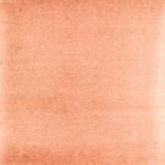 Dye mushroom: Pycnoporellus alboluteus (Orange Sponge Polypore), Pigment: base