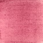 Dye mushroom: Cortinarius sanguineus (Blood Red Webcap), Pigment: soda ash