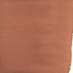 Dye mushroom: Pisolithus tinctorius (Dyer's Puffball), Pigment: base