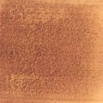 Dye mushroom: Cortinarius semisanguineus (Surprise Web Cap), Pigment: iron