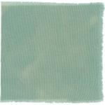 Dye mushroom: Hydnellum suaveolens (Sweetgrass Hydnellum), Fiber: wool, Mordent: alum