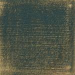 Dye mushroom: Polyozellus atroazulinus (Blue Chanterelle), Pigment: iron