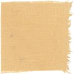 Dye mushroom: Gymnopilus ventricosus (Western Jumbo Gym), Fiber: linen, Mordent: iron