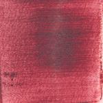 Dye mushroom: Cortinarius sanguineus (Blood Red Webcap), Pigment: alum