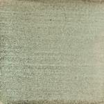 Dye mushroom: Sarcadon stereosarcinon (Stereo Tooth), Pigment: copper acetate