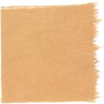 Dye mushroom: Echinodontium tinctorium (Indian Paint Fungus), Fiber: linen, Mordent: iron