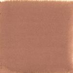 Dye mushroom: Pisolithus tinctorius (Dyer's Puffball), Pigment: soda ash