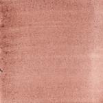 Dye mushroom: Cortinarius semisanguineus (Surprise Web Cap), Pigment: alum