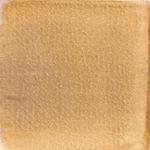 Dye mushroom: Boletus rex veris (Spring King Bolete), Pigment: soda ash